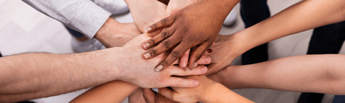 The Role of Diversity in Our Lives
